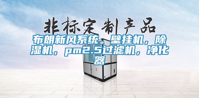 布朗新風系統。壁掛機，除濕機，pm2.5過濾機，凈化器