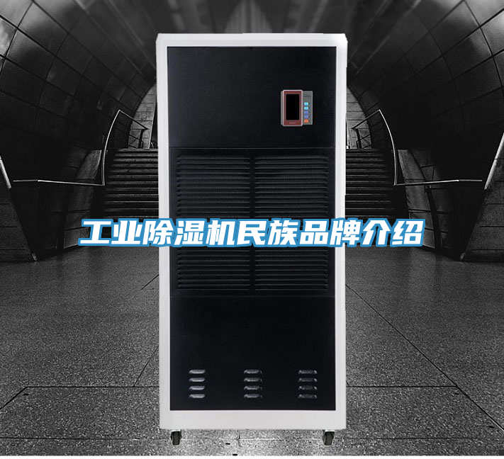 工業除濕機民族品牌介紹