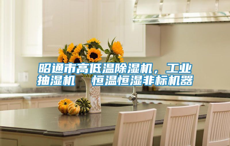 昭通市高低溫除濕機，工業抽濕機  恒溫恒濕非標機器