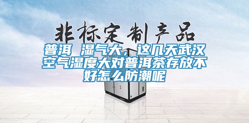 普洱 濕氣大，這幾天武漢空氣濕度大對普洱茶存放不好怎么防潮呢
