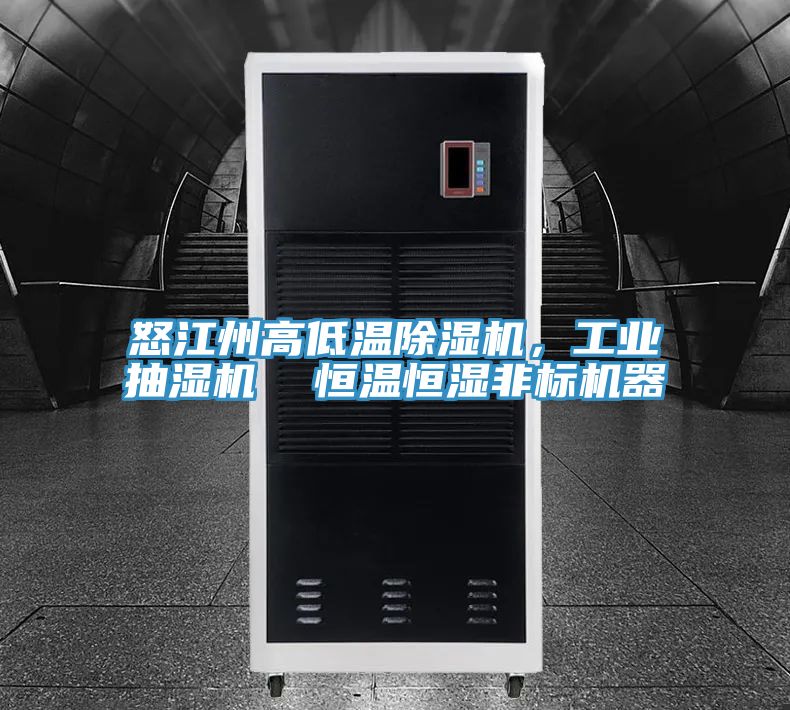 怒江州高低溫除濕機，工業抽濕機  恒溫恒濕非標機器