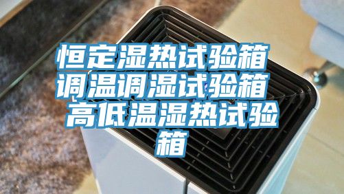恒定濕熱試驗箱 調溫調濕試驗箱 高低溫濕熱試驗箱