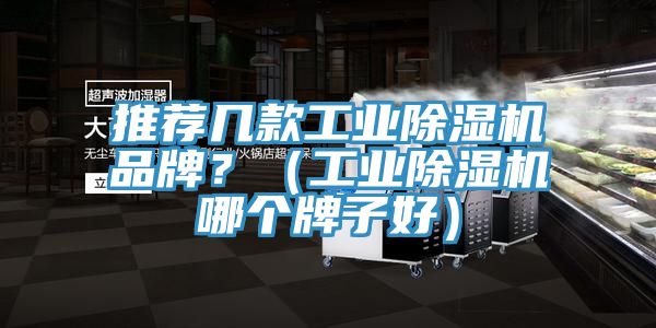 推薦幾款工業除濕機品牌？（工業除濕機哪個牌子好）