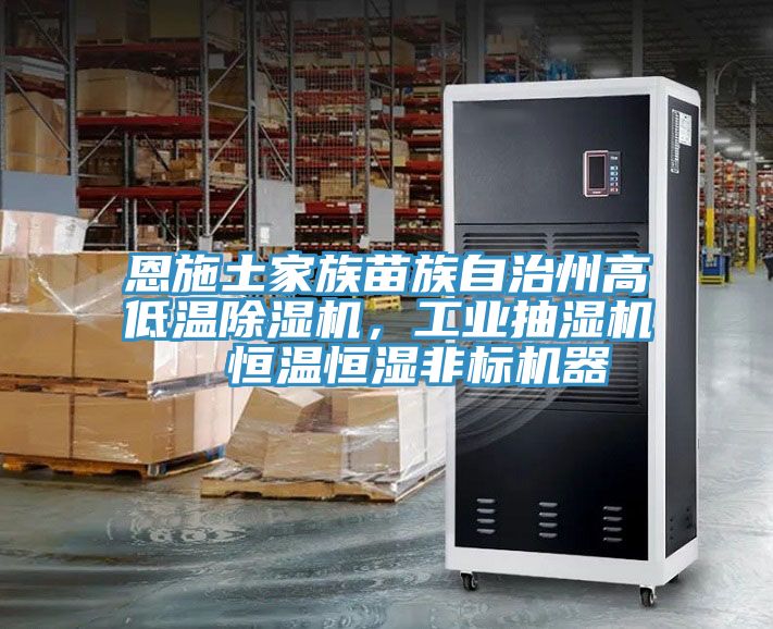恩施土家族苗族自治州高低溫除濕機，工業抽濕機  恒溫恒濕非標機器