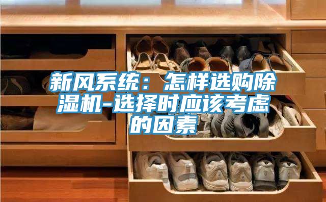 新風系統(tǒng)：怎樣選購除濕機-選擇時應該考慮的因素
