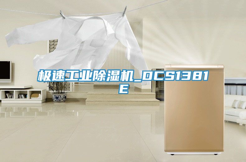 極速工業(yè)除濕機(jī)_DCS1381E
