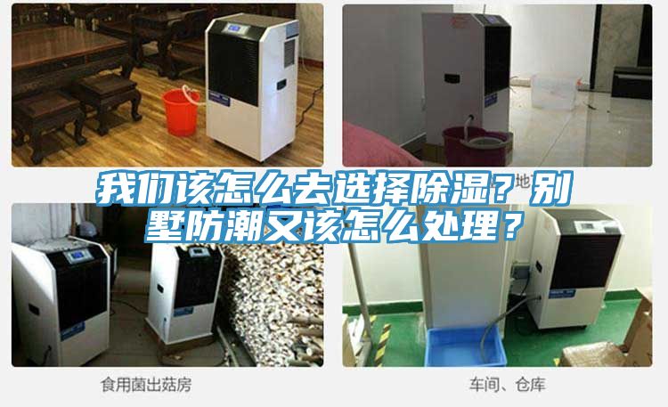 我們該怎么去選擇除濕？別墅防潮又該怎么處理？