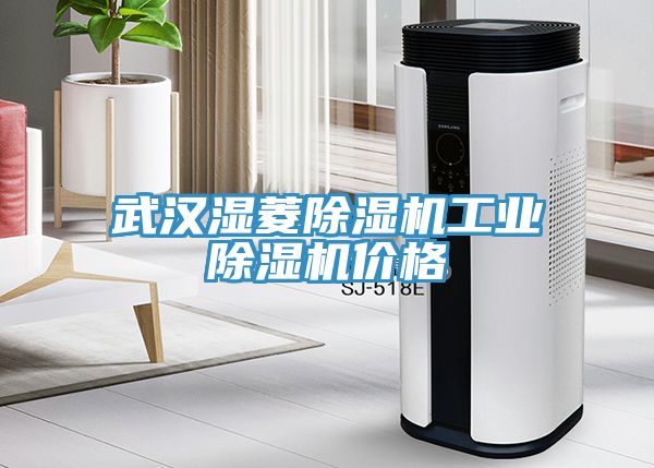 武漢濕菱除濕機工業除濕機價格