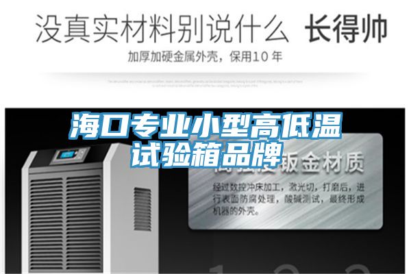 海口專業(yè)小型高低溫試驗(yàn)箱品牌