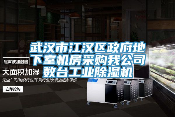 武漢市江漢區政府地下室機房采購我公司數臺工業除濕機