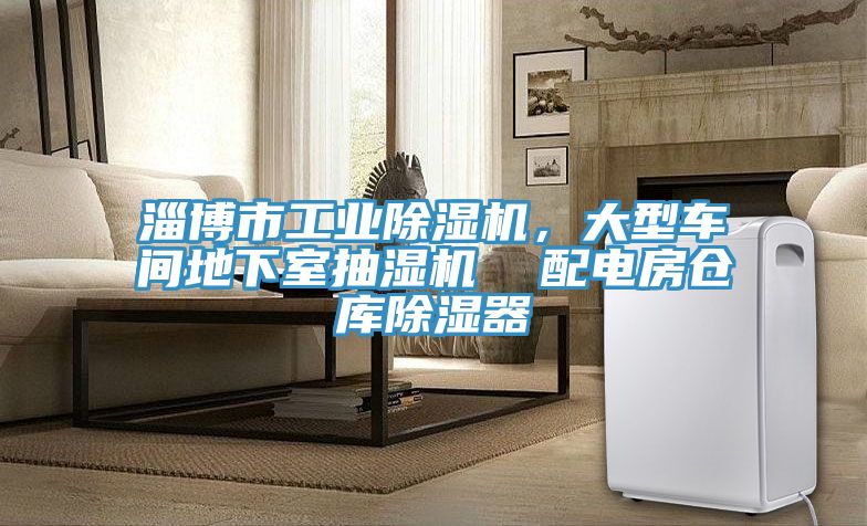 淄博市工業(yè)除濕機，大型車間地下室抽濕機  配電房倉庫除濕器