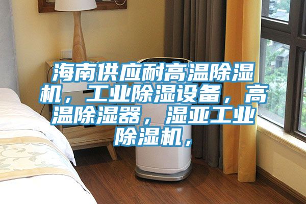 海南供應耐高溫除濕機，工業除濕設備，高溫除濕器，濕亞工業除濕機，