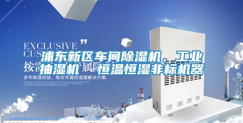 浦東新區車間除濕機，工業抽濕機  恒溫恒濕非標機器