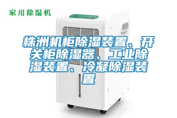株洲機柜除濕裝置、開關柜除濕器、工業除濕裝置、冷凝除濕裝置