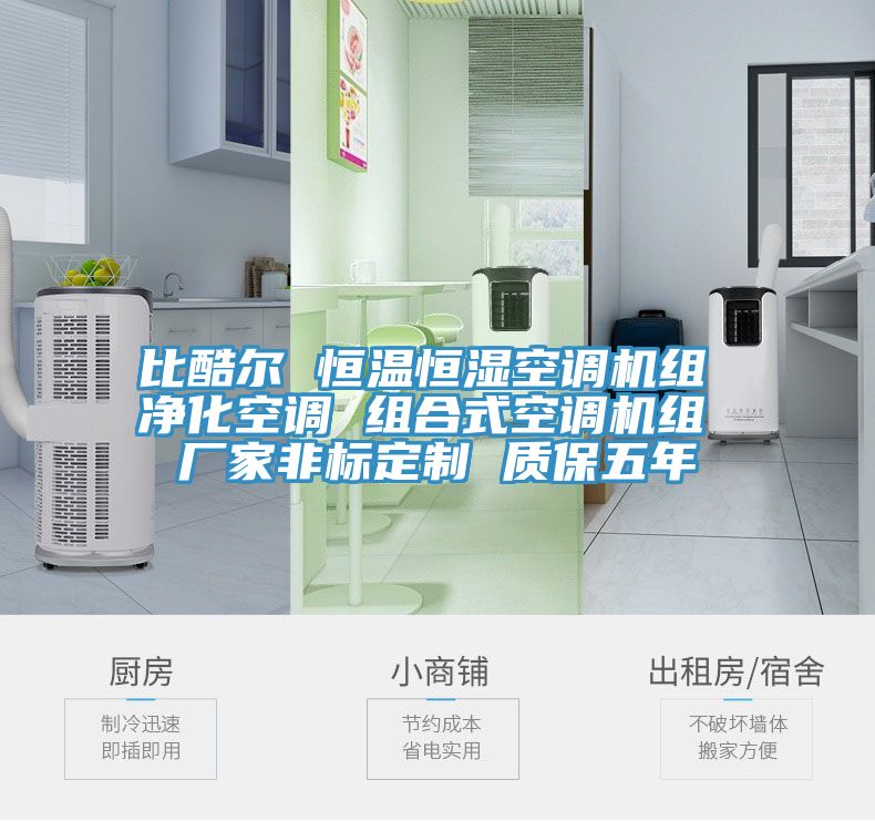 比酷爾 恒溫恒濕空調(diào)機(jī)組 凈化空調(diào) 組合式空調(diào)機(jī)組 廠家非標(biāo)定制 質(zhì)保五年