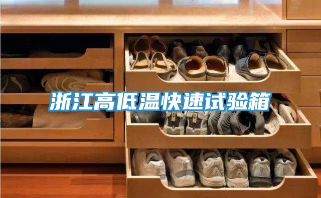 浙江高低溫快速試驗箱