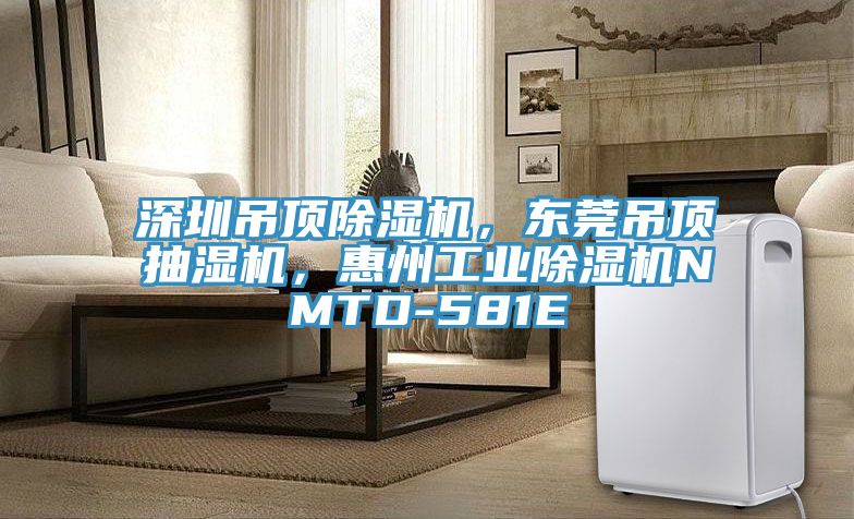 深圳吊頂除濕機，東莞吊頂抽濕機，惠州工業(yè)除濕機NMTD-581E