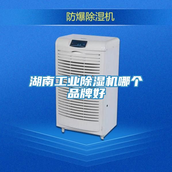 湖南工業除濕機哪個品牌好