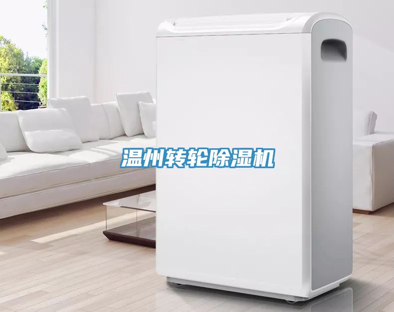 溫州轉(zhuǎn)輪除濕機(jī)