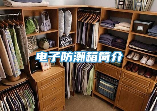 電子防潮箱簡(jiǎn)介