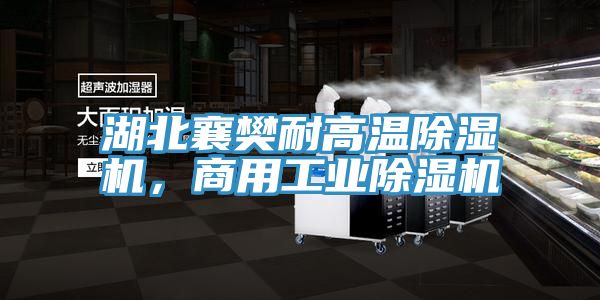 湖北襄樊耐高溫除濕機，商用工業除濕機