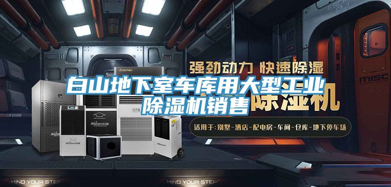 白山地下室車庫用大型工業(yè)除濕機銷售