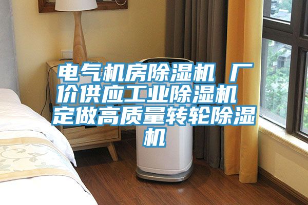 電氣機房除濕機 廠價供應(yīng)工業(yè)除濕機 定做高質(zhì)量轉(zhuǎn)輪除濕機