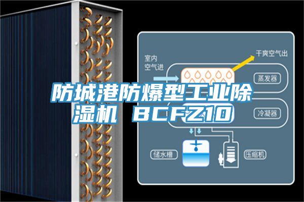 防城港防爆型工業除濕機 BCFZ10