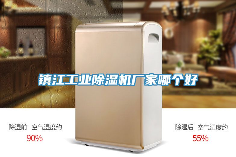 鎮(zhèn)江工業(yè)除濕機(jī)廠家哪個好