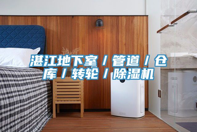 湛江地下室／管道／倉庫／轉輪／除濕機