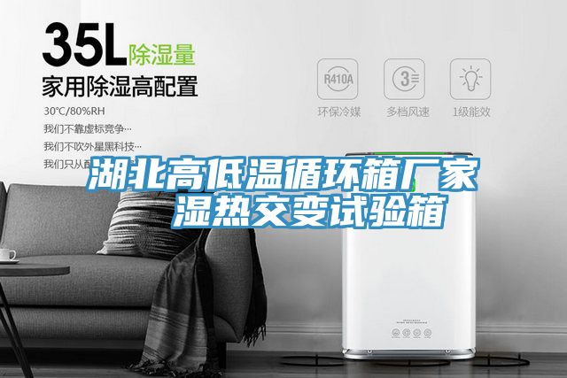 湖北高低溫循環箱廠家  濕熱交變試驗箱