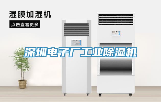 深圳電子廠工業除濕機