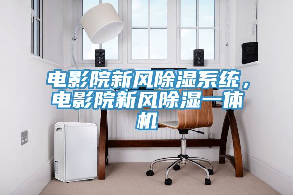 電影院新風(fēng)除濕系統(tǒng)，電影院新風(fēng)除濕一體機