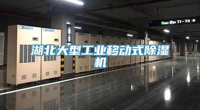 湖北大型工業移動式除濕機