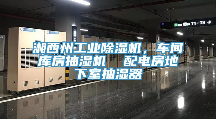 湘西州工業除濕機，車間庫房抽濕機  配電房地下室抽濕器
