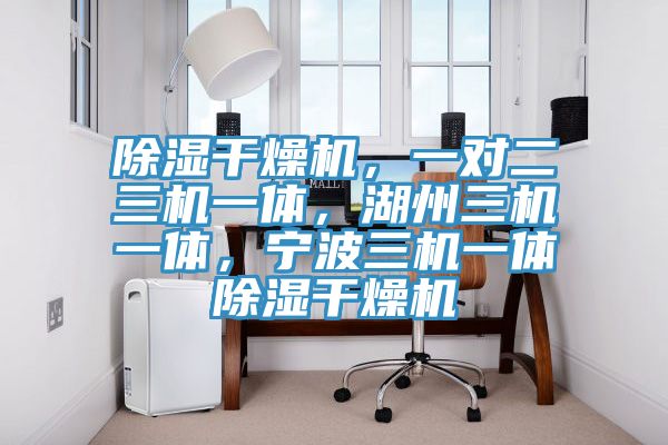 除濕干燥機，一對二三機一體，湖州三機一體，寧波三機一體除濕干燥機