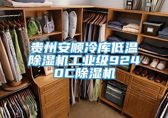 貴州安順冷庫低溫除濕機工業級9240C除濕機