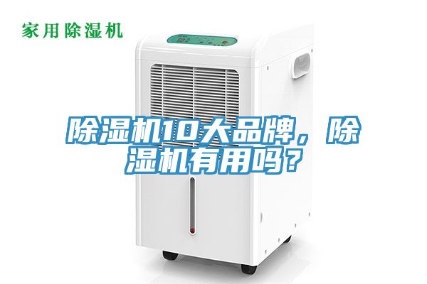 除濕機10大品牌，除濕機有用嗎？