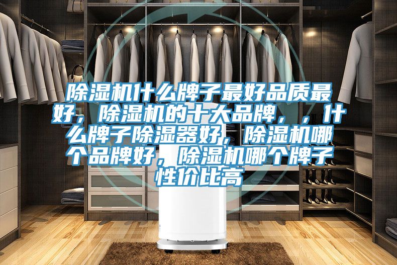 除濕機什么牌子最好品質最好，除濕機的十大品牌，，什么牌子除濕器好，除濕機哪個品牌好，除濕機哪個牌子性價比高