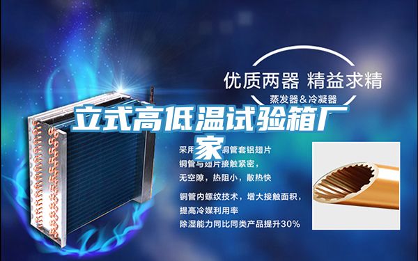 立式高低溫試驗(yàn)箱廠(chǎng)家