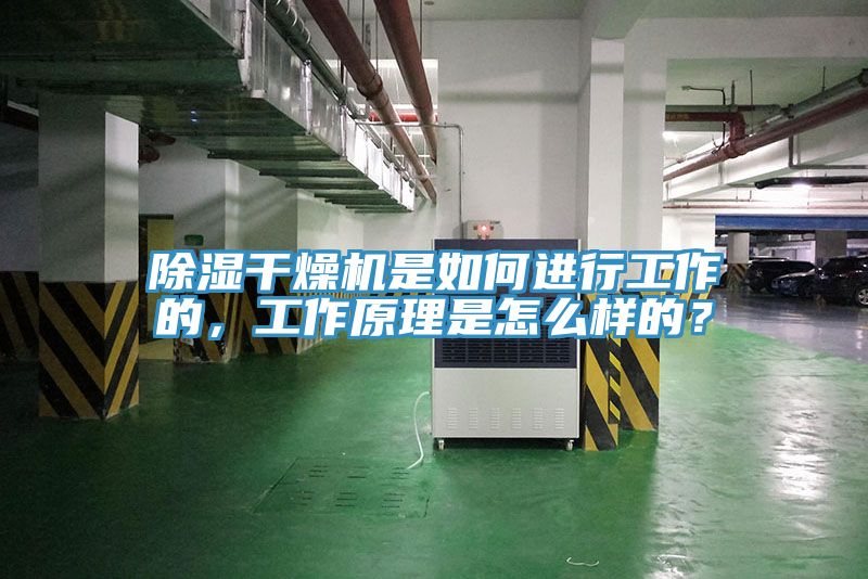 除濕干燥機是如何進行工作的，工作原理是怎么樣的？