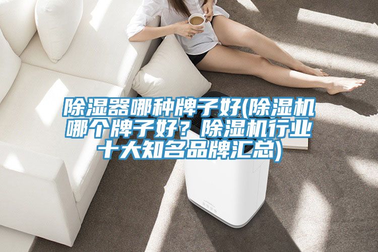 除濕器哪種牌子好(除濕機哪個牌子好？除濕機行業十大知名品牌匯總)