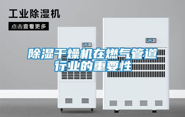 除濕干燥機在燃氣管道行業的重要性