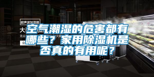 空氣潮濕的危害都有哪些？家用除濕機是否真的有用呢？