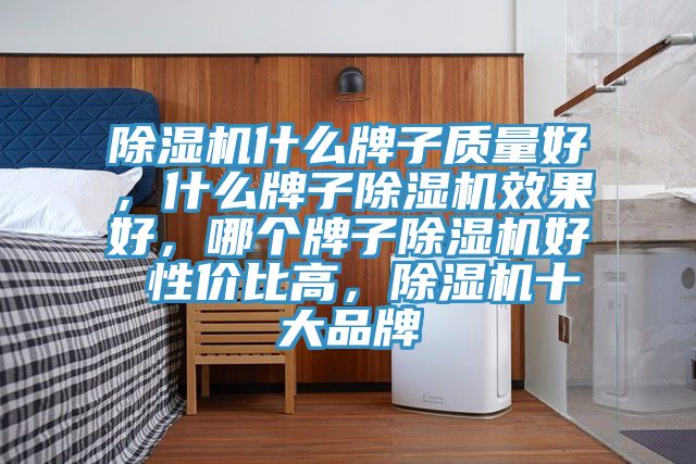 除濕機什么牌子質量好，什么牌子除濕機效果好，哪個牌子除濕機好 性價比高，除濕機十大品牌