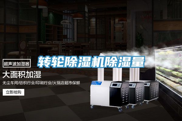 轉(zhuǎn)輪除濕機除濕量