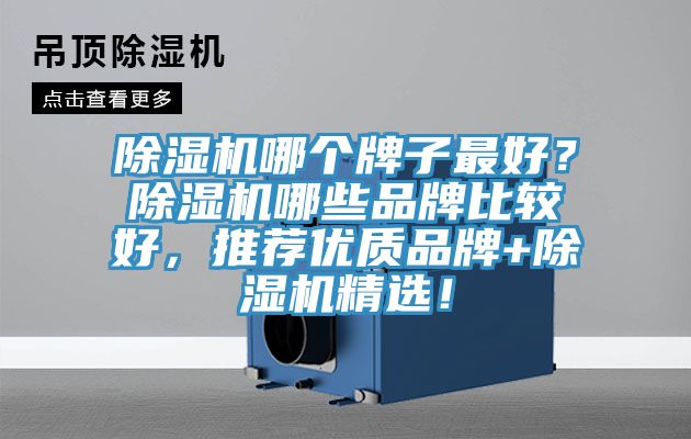 除濕機哪個牌子最好？除濕機哪些品牌比較好，推薦優質品牌+除濕機精選！