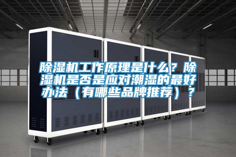 除濕機工作原理是什么？除濕機是否是應對潮濕的最好辦法（有哪些品牌推薦）？