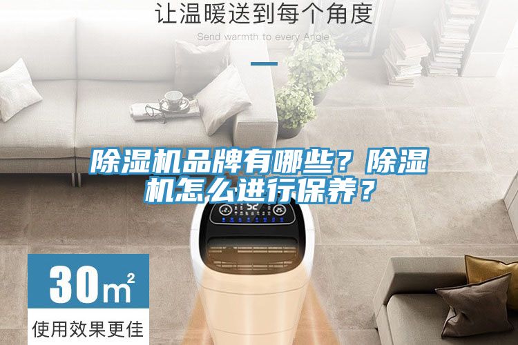 除濕機品牌有哪些？除濕機怎么進行保養(yǎng)？
