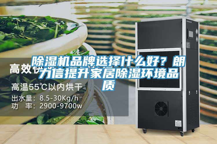 除濕機品牌選擇什么好？朗力信提升家居除濕環(huán)境品質(zhì)